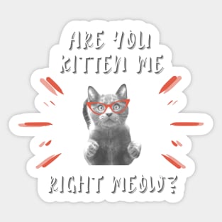 Are you Kitten Me Right Neow Sticker